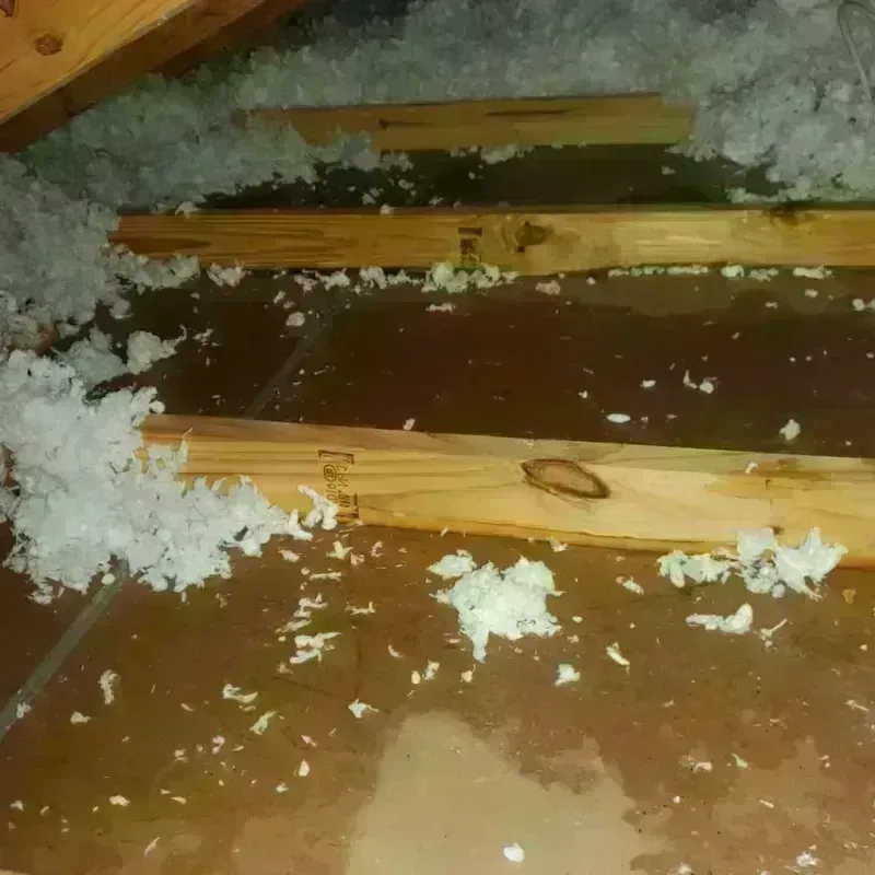 Attic Water Damage in Camino, CA