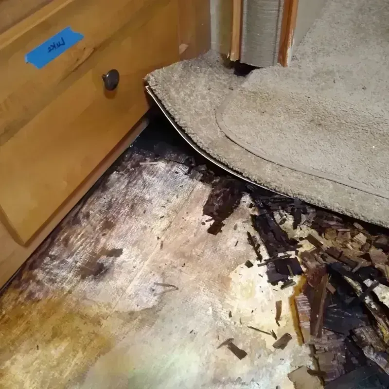 Wood Floor Water Damage in Camino, CA